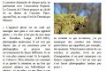 Photo du mois avril 2017
